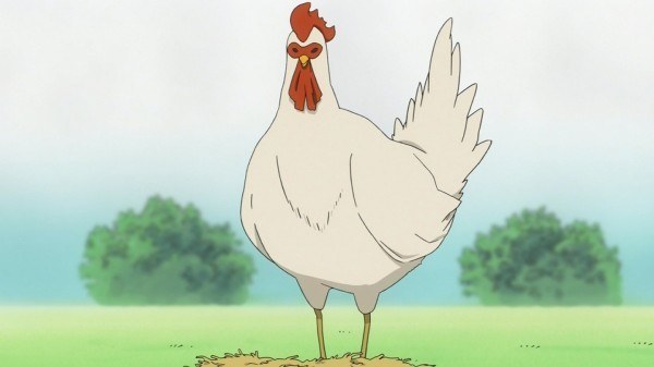 エレガント鶏 アニメ 最高のアニメ画像